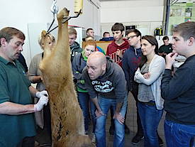 image-1038