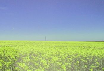 Rapsfeld_Simulator3