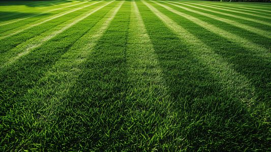 AdobeStock_700279042_Rasenstreifen_2