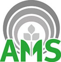 logo_ams_web