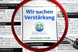Sie wünschen sich einen Tapetenwechsel?