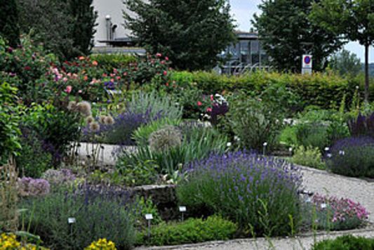 csm_Weihenst_Oberdieckgarten_02_df78ae92ba