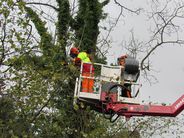 AS Baum II: Motorsäge im Hubsteiger