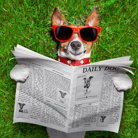 AdobeStock_66438909