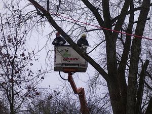 image-742