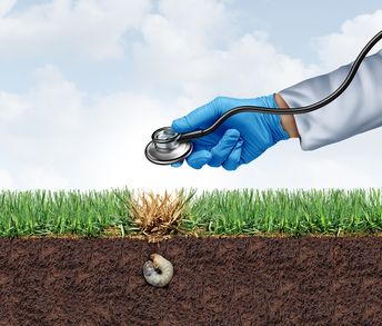 AdobeStock_830448243